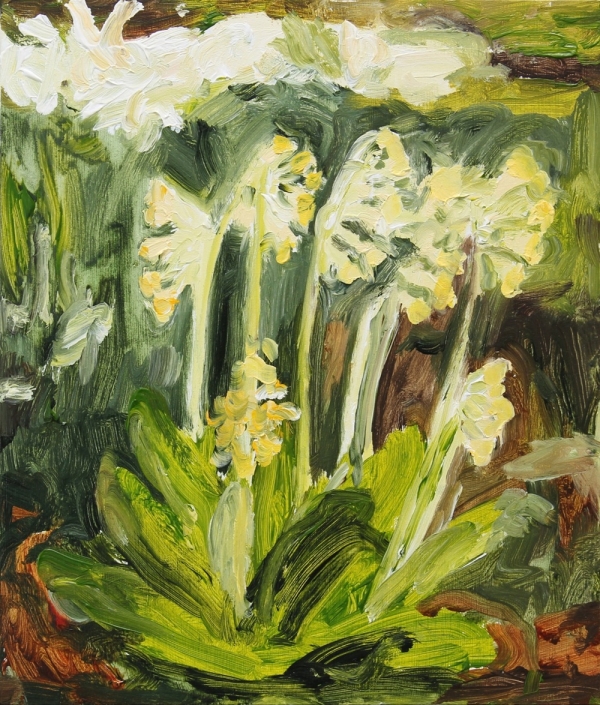 My mum once told me something important about a primula, 2026, 35×30 cm, acrylic on MDF €975